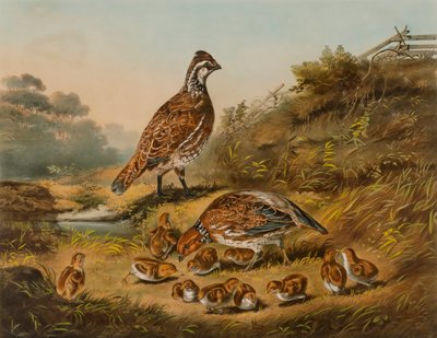  av Nathaniel Currier