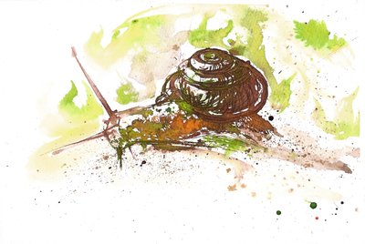 Snegle, 2025 (blekk) av Neale Osborne