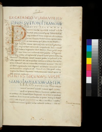 Ms 394.1. Plinius den eldre, Historia naturalis, f.1r. Opplyst initial [P] med dekor av hvit vinstokk (uferdig), Napoli, midten av 1400-tallet, ca. 1442 (pergament) av Neapolitan School