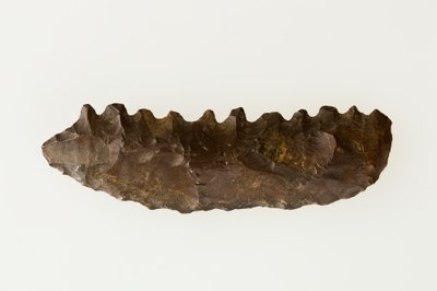 Bifacial sigd, ca. 4500–4000 f.Kr. (flint) av Neolithic Neolithic