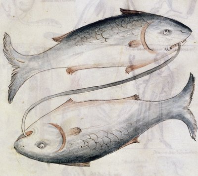 Sloane 3983 Drawing of Pisces, fra en oversettelse av en persisk astrologisk avhandling av Jafar ibn Muhammad (vellum) av Netherlandish School