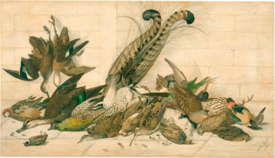 uten tittel (australske gamebirds) av Neville Henry Cayley