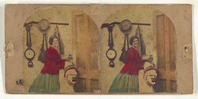  av New York Stereoscopic Company