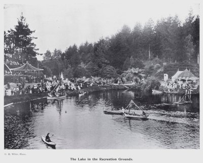 New Plymouth, New Zealand: The Lake in the Recreation Grounds (s/hv-bilde) av New Zealand Photographer