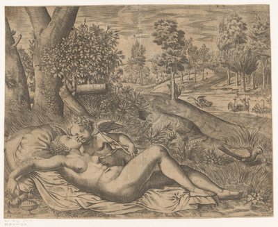 Venus forelsket av Niccolò Nelli