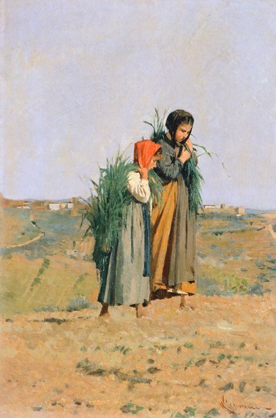 Erbaiole av Niccolo Cannicci