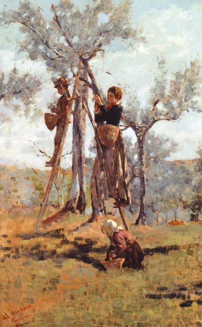 Olivenhøsten, ca 1892 (olje på lerret) av Niccolo Cannicci