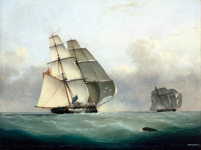  av Nicholas Matthews Condy