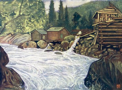 Norway: River at Haukeli av Nico Jungman