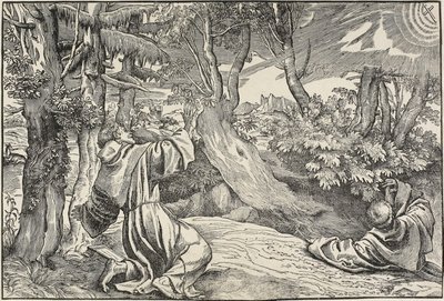 Saint Francis mottar Stigmata av Nicolò Boldrini