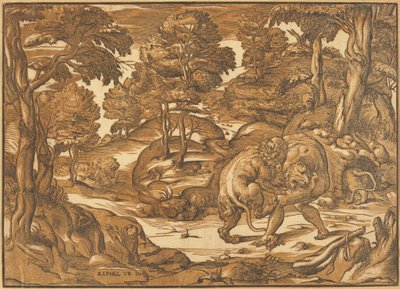 Hercules og Nemean Lion av Nicolò Boldrini, after Raphael