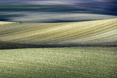  av Nicola Figliuolo