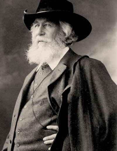 Portrett av Ernst Haeckel, ca. 1910 (bilde) av Nicola Perscheid