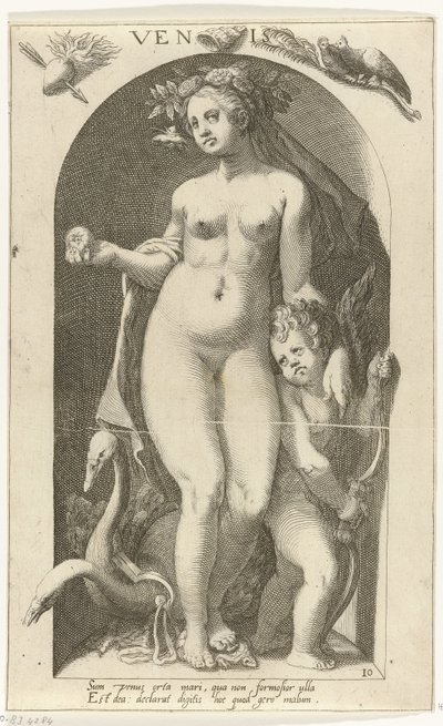 Venus Venis (tittel på objekt) Ancient Gods (serietittel) av Nicolaas Braeu