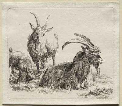 Animalia: Tre geiter av Nicolaes Berchem