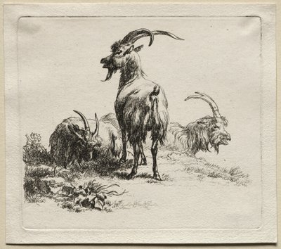 Animalia: Tre geiter av Nicolaes Berchem