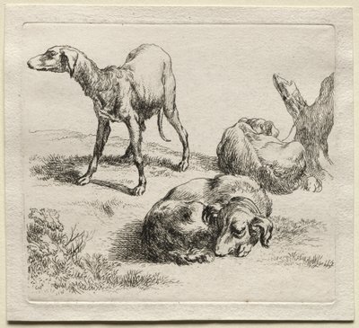 Animalia: Tre jakthunder av Nicolaes Berchem
