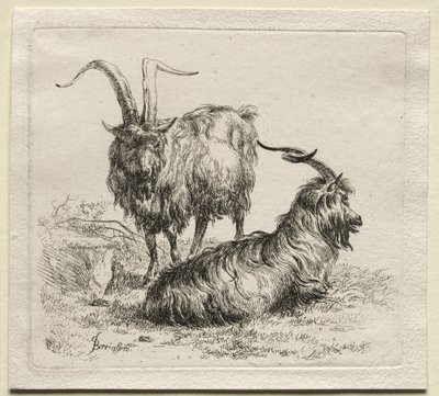 Animalia: To geiter av Nicolaes Berchem