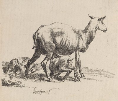 Ewe som ammer Lammet sitt. av Nicolaes Berchem