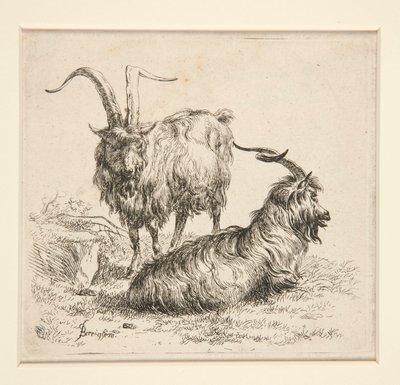 Geiter (fra av Nicolaes Berchem