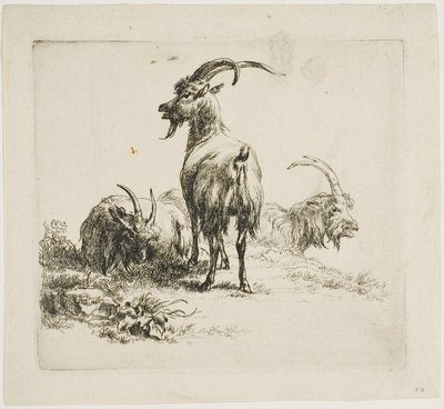 Geiter, fra forskjellige dyr av Nicolaes Berchem