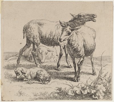Tre sauer og et lam. av Nicolaes Berchem
