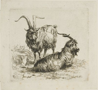 To geiter med store horn, fra forskjellige dyr av Nicolaes Berchem