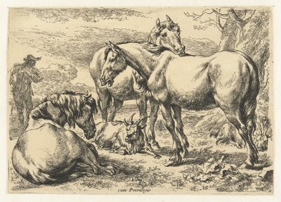 Tre hester Dyr (serietittel) av Nicolaes Pietersz Berchem