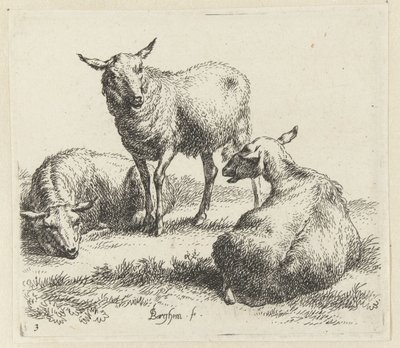 Tørk sauene Schapen (serietittel) Dyr trukket til livet og trykt i vann av sterk luft av Studio and Art of Nicolai Berchem (serietittel) av Nicolaes Pietersz Berchem