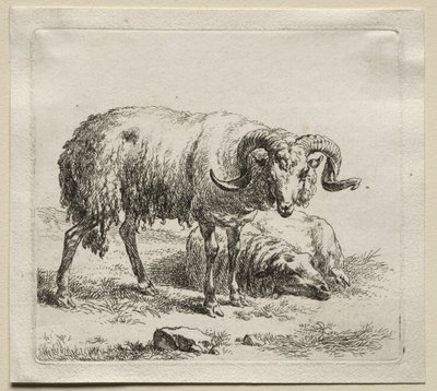 Vær og sau. av Nicolaes Pietersz. Berchem