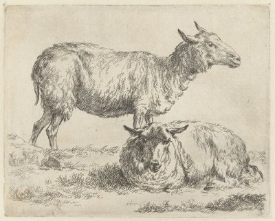 Staand en liggend schaap Schapen (serietittel) Dyr trukket til livet og trykt med sterkt vann i Nicolai Berchems studio og kunst (serietittel) av Nicolaes Pietersz Berchem