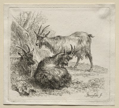 Tre geiter. av Nicolaes Pietersz. Berchem