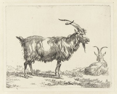 To geiter Geiten (serietittel) Dyr trukket til livet og trykt med vann for sterk luft av Studio and Art of Nicolai Berchem (serietittel) av Nicolaes Pietersz Berchem
