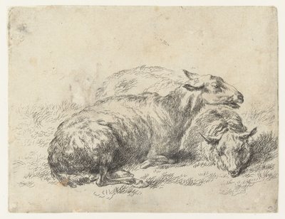 Twee ligende schapen sau (serietittel) Dyr trukket til livet og trykt i vann av sterk luft av Studio and Art of Nicolai Berchem (serietittel) av Nicolaes Pietersz Berchem