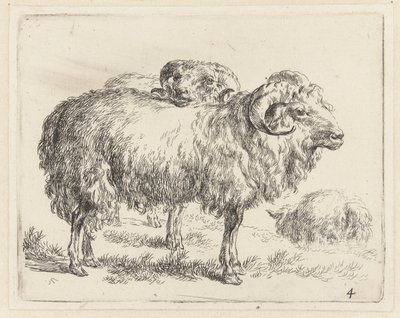 Twee rammen en een schaap Schapen (serietittel) Dyr trukket til livet og trykt i vann av sterk luft av Studio and Art of Nicolai Berchem (serietittel) av Nicolaes Pietersz Berchem