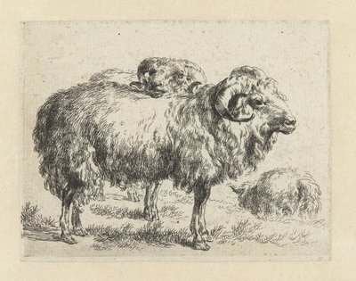 Twee rammen en een schaap Schapen (serietittel) Dyr trukket til livet og trykt i vann av sterk luft av Studio and Art of Nicolai Berchem (serietittel) av Nicolaes Pietersz Berchem