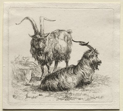 To geiter. av Nicolaes Pietersz. Berchem