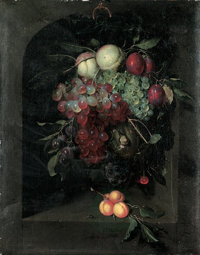 Swag av druer, fersken, plommer og kirsebær med en snegl i en steinnisje med en haug med aprikoser og bie på en avsats, 1666 av Nicolaes Van Gelder