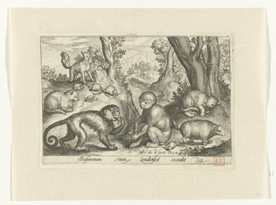Aper, katter og mus Animalivm qvadrvpedvm (serietittel) Dyr i landskap (serietittel) av Nicolaes de Bruyn