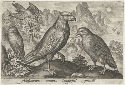 Ørn og andre rovfugler Fugler og insekter (serietittel) av Nicolaes de Bruyn