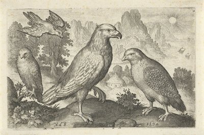 Ørn og andre rovfugler Fugler og insekter (serietittel) av Nicolaes de Bruyn