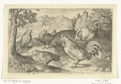 Tre høner og to haner Fugler og insekter (serietittel) av Nicolaes de Bruyn