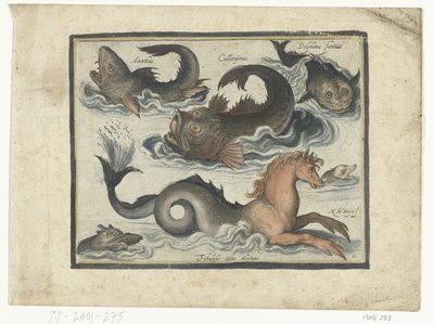 Fantastiske vannlevende dyr, inkludert sjøhest Libelivs diverse Genera piscium complectens (serietittel) Ferskvannsfisk, marin fisk, frosker, krepsdyr og sjødyr (serietittel) av Nicolaes de Bruyn