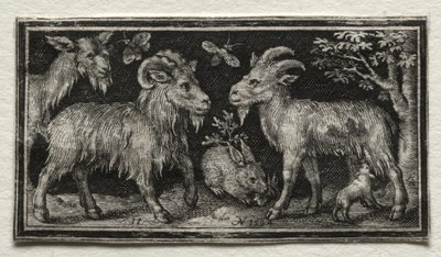 Geiter og hare, 1594. av Nicolaes de Bruyn