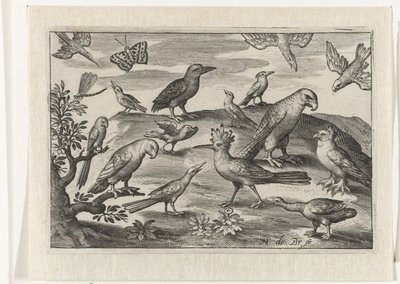 Humle og andre fugler Fugler og insekter (serietittel) av Nicolaes de Bruyn