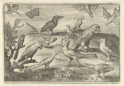 Humle og andre fugler Fugler og insekter (serietittel) av Nicolaes de Bruyn