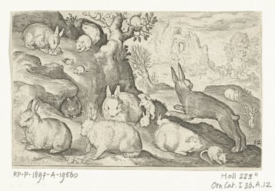 Kaniner, ekorn, marsvin og mus Animalivm qvadrvpedvm (serietittel) Dyr i landskap (serietittel) av Nicolaes de Bruyn
