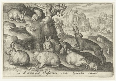 Kaniner, ekorn, marsvin og mus Animalivm qvadrvpedvm (serietittel) Dyr i landskap (serietittel) av Nicolaes de Bruyn