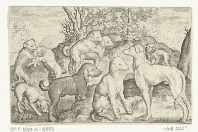 Ni hunder Animalivm qvadrvpedvm (serietittel) Dyr i landskap (serietittel) av Nicolaes de Bruyn
