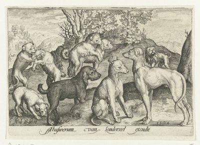 Ni hunder Animalivm qvadrvpedvm (serietittel) Dyr i landskap (serietittel) av Nicolaes de Bruyn